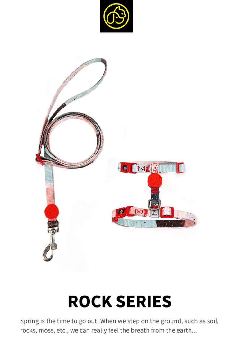 easy walk harness01.jpg